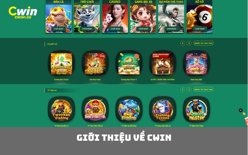 Giới thiệu về CWIN